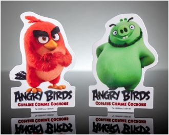 Flat magnets
ANGRY BIRDS